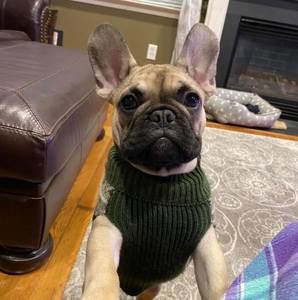 Meet your Posher, Reeni